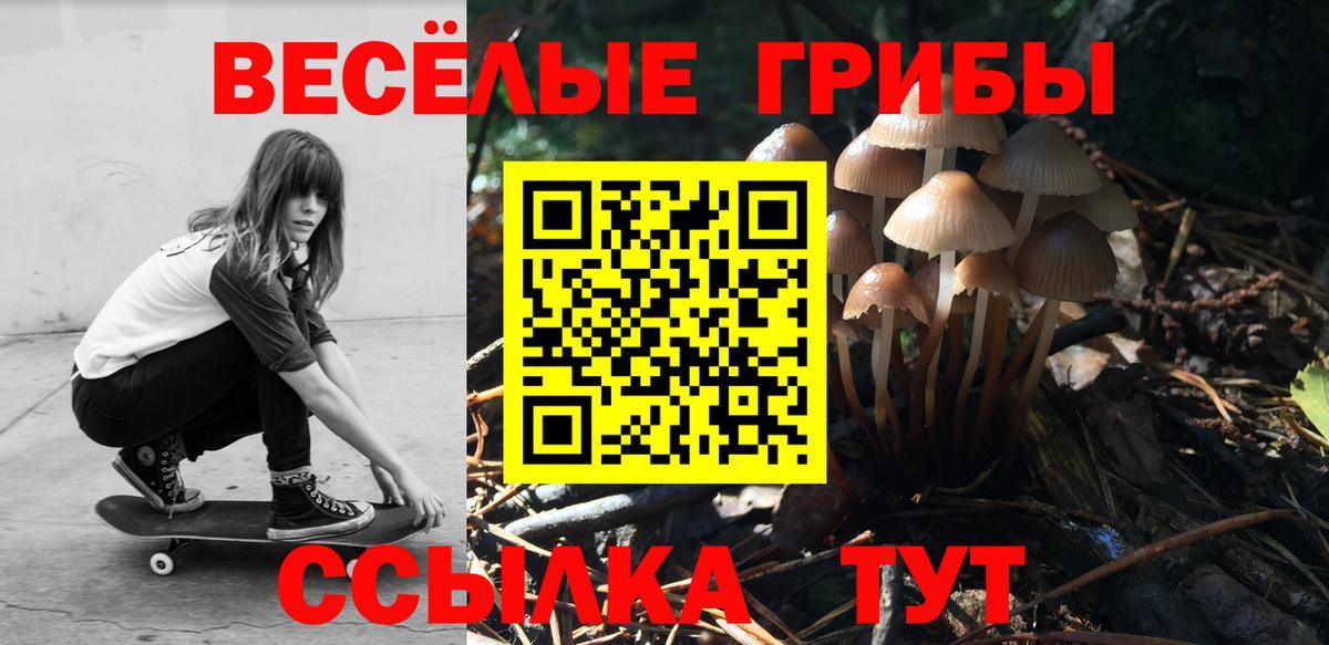 Сургут  Псилоцибиновые грибы GOLDEN TEACHER  Вход с VPN  Псилоцибиновые грибы прущие грибы 