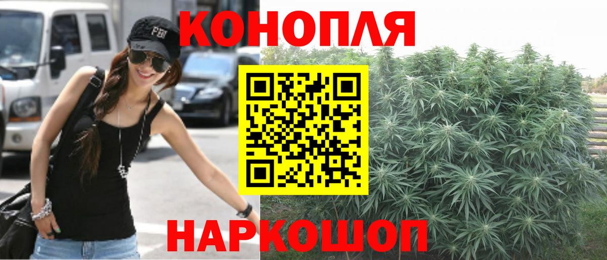 Каннабис OG Kush Сургут